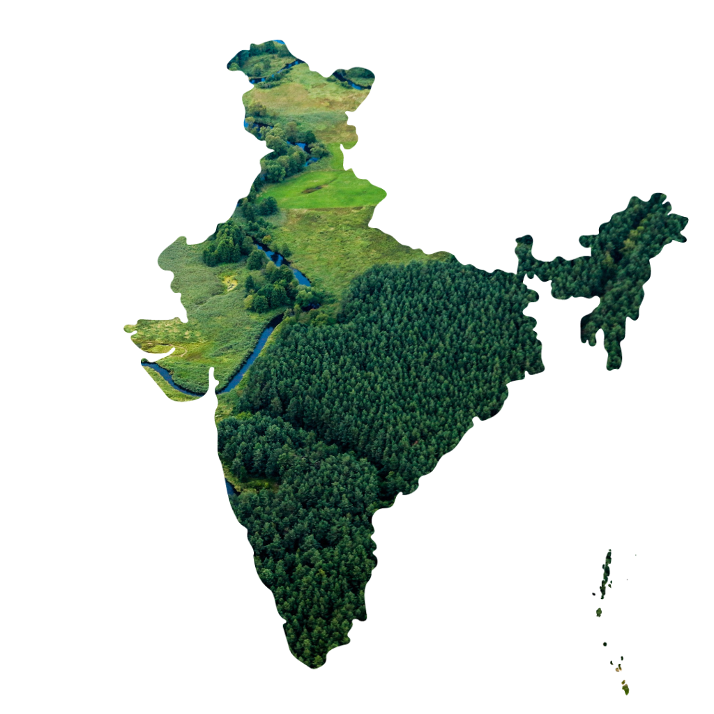 Indic Aranya